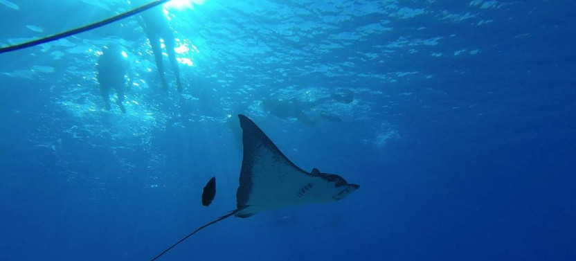 Private Full Day Bora Bora Cultural & Lagoon Tour