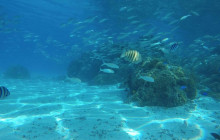 Bora Bora Cultural Lagoon Tour6