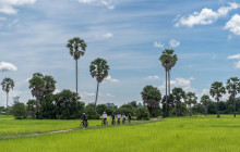 Discova Day Tours and Activities4