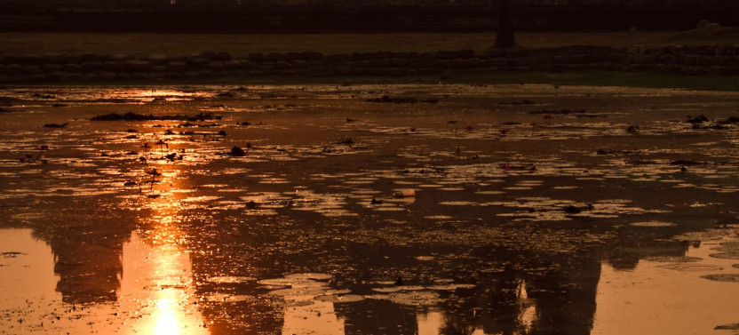 Siem Reap: Private Angkor Wat Sunrise Bike Tour & Jungle Breakfast