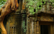 Discova Day Tours and Activities12