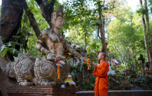 Discova Day Tours and Activities4