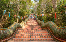 Discova Day Tours and Activities5