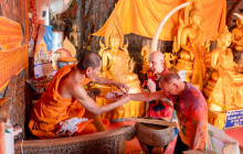 Discova Day Tours and Activities8