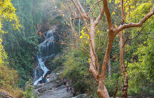 Discova Day Tours and Activities10