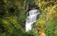 Discova Day Tours and Activities11