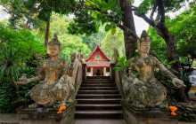 Discova Day Tours and Activities13