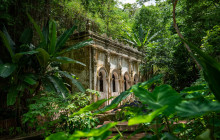 Discova Day Tours and Activities14