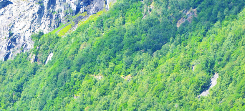Single Kayak Rental from Geiranger