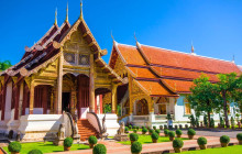 Discova Day Tours and Activities9