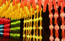 Discova Day Tours and Activities12