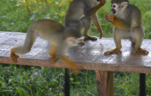 Edwin Transfers Tours2