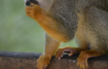 Edwin Transfers Tours3