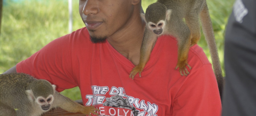 Puerto Plata Monkey Home Tour by Minivan