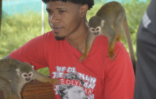 Edwin Transfers Tours1