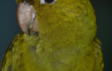 Edwin Transfers Tours5