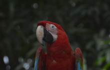 Edwin Transfers Tours6