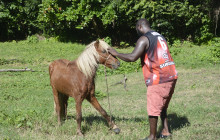 Edwin Transfers Tours7