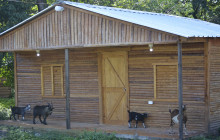 Edwin Transfers Tours8