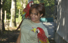 Edwin Transfers Tours10