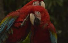 Edwin Transfers Tours13