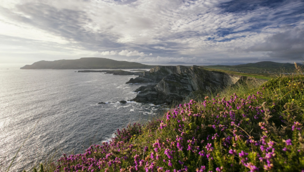 Roaming the Ring of Kerry Portmagee & Skellig Ring
