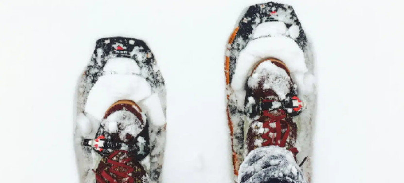 Private Yellowstone Winter Wildlife Tour & Snowshoe