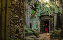 Discova Day Tours and Activities5