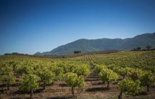 Meridian4People - Portugal & Spain3