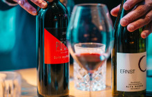 Wolfy's Adventures14