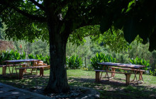 Avalon Travel Services9