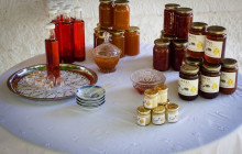 Avalon Travel Services10