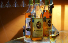 The Best Day Tours516