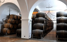 The Best Day Tours518