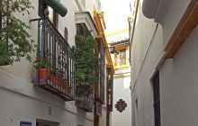 The Best Day Tours10