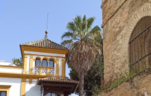 The Best Day Tours11