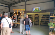 Avalon Travel Services4