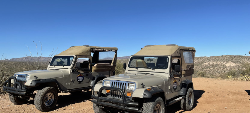 Small Group: Sonoran Desert Jeep Tour