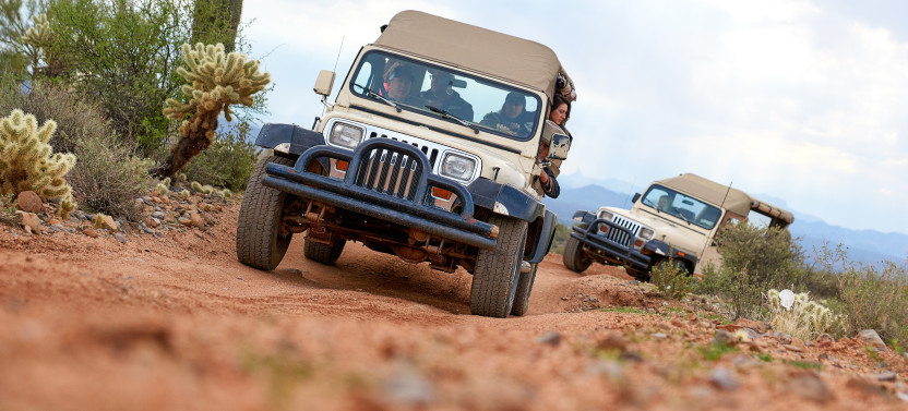 Small Group: Sonoran Desert Jeep Tour