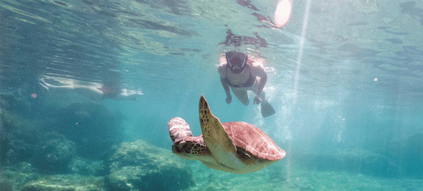 Hawaii’s Original Private Island Tour with Turtle Snorkeling