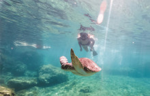 Hawaii Turtle Tours2