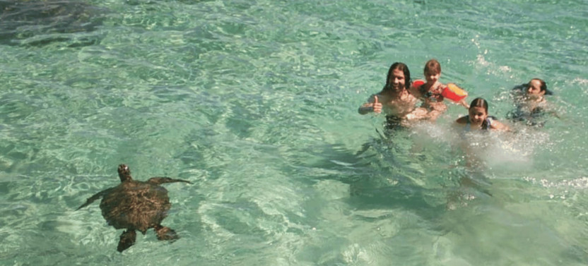 Hawaii’s Original Private Island Tour with Turtle Snorkeling