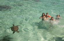Hawaii Turtle Tours3