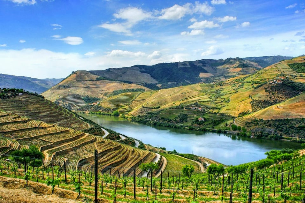 Douro Valley Private Wine and Food Tour From Lisbon