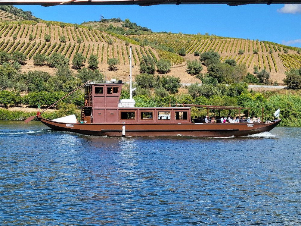 Lisbon to Douro Valley One Way Trip Up to 4 Stops