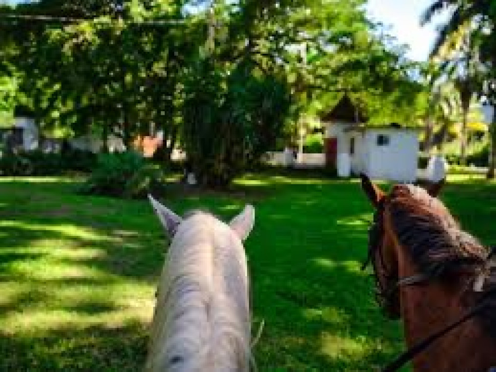 Panoramic Ocho Rios Heritage, Horseback Riding and Swim Experience