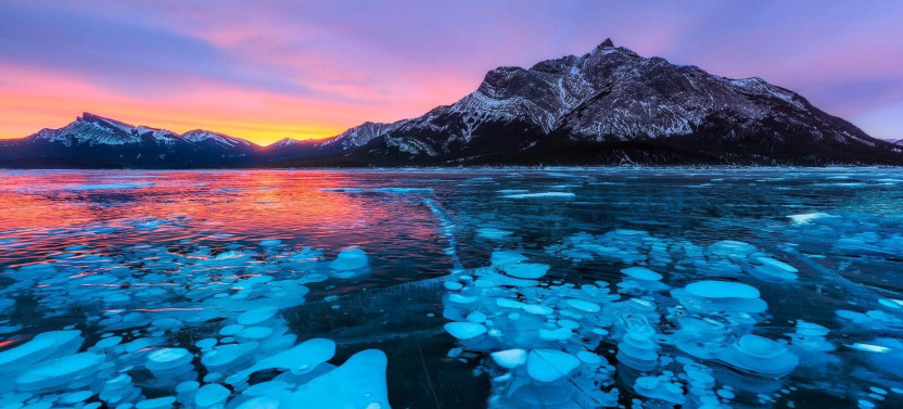 Full Day Sunwapta Falls or Abraham Ice Bubbles, Peyto Lake, & Bow Lake Tour