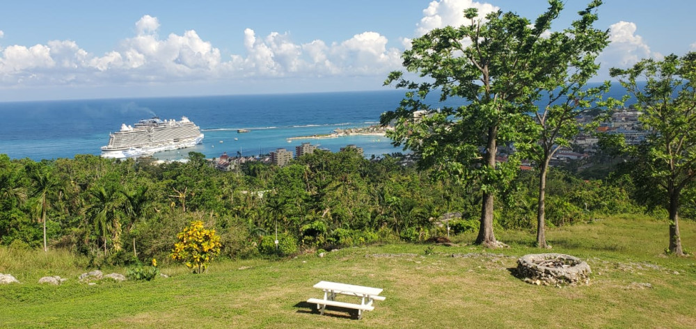Ocho Rios Lookout, Blue Hole and Bamboo Rafting with Lunch