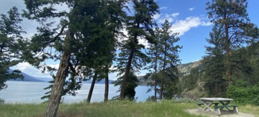 Okanagan Lake Views Guided E-Bike Tour With Picnic