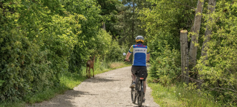 Self-Guided E-Bike Salmon Adventure